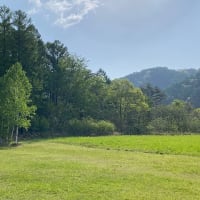 爽やかな風が吹いて気持ちがいいです