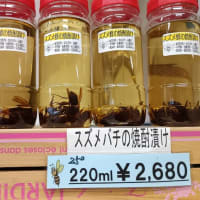 スズメバチの焼酎漬け～北丹沢の麓　高城商店