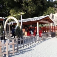 一宮巡り　相模国鎮座　鶴岡八幡宮　202501