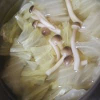 1月28日　　じゃがいもと豚肉の とろみ炒め弁当＆白菜の スープ