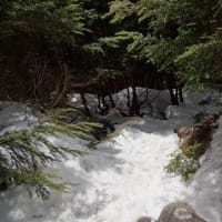雪の南八ヶ岳（編笠岳）他