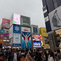 野球中止の後は…