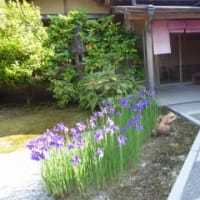 出雲の国を旅して来ました。