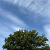 じぶんへの観察眼の変化