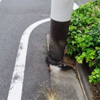すんごく涼しい〜