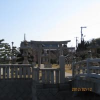 真冬の一日の過ごし方・・・（私の場合）