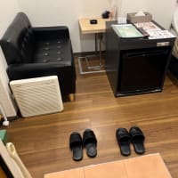 【五反田】ホテルピース