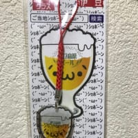 ご当地ショボーン 神奈川  伊豆 地ビールグラス