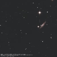 24/03/10･13  弥生新月の陣　part.10  シャキッとしなかった２点でNGC4217＆NGC4038…。