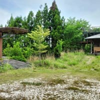 揖斐高原の貝月山