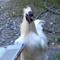 僕らは元気です　(^^)