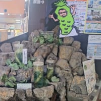 伊豆わさびミュージアム