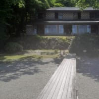 感性が澄んでいく。心地いいなぁ、ずーっと居たいなぁ、と思う。②