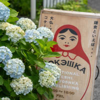 四葩の頃【長谷/扇ガ谷】長谷の街角から扇ガ谷へ紫陽花散策
