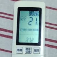 5/31 寒いよ〜