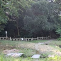 御朱印紀行 ① ～高良大社～   味水御井神社