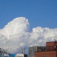 夏空？