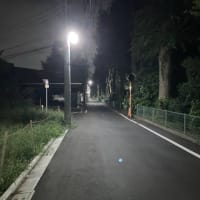 夜の散歩