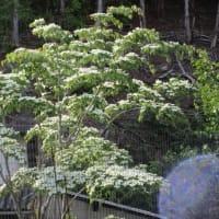 湧永満之記念庭園