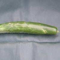 きゅうりの収穫した