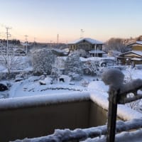 初雪2018