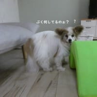 アンチノールプラス