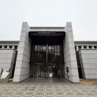 息子が免許を取りました