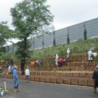 高速道路花壇愛護会