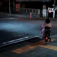 自転車の違反者