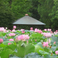 茨城県歴史館周辺を散歩して