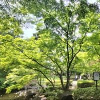 荻窪の大田黒公園に行ってきました