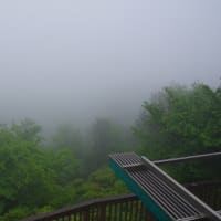 霧に抱かれる明神山へ