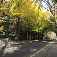 第38回さんさ時雨全国大会出場順