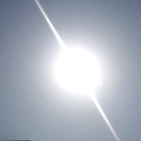 通りすがり花写メ〓４月18日17時48分〓
