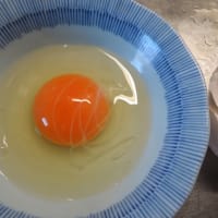 おかしな鶏卵