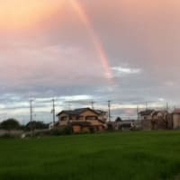 Rainbow*