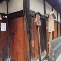 春の京都食べすぎ旅行、オススメルートまだあったんかーい編