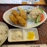 気ままに♪遊歩と小生物の日々