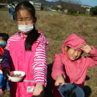毎年恒例の大豆収穫祭 と 應聖寺