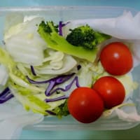 【なかちゅうのお弁当(4/11)】
