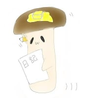 エリンギ君Instagramデビュー笑