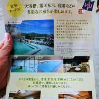 亀の井ホテル 高知   カモン!