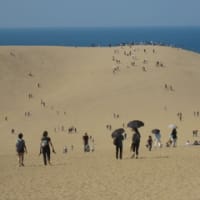 砂丘にて