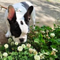 大好きだった公園
