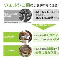 こども農林水産省　MAFFからの挑戦状！～～～クイズに挑戦してみよう！