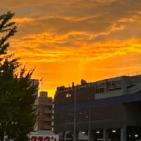 2025年6月26日(木) ゲリラ豪雨が上がったら、出掛けよう
