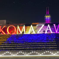駒沢オリンピック公園〜花と光のファンタジー