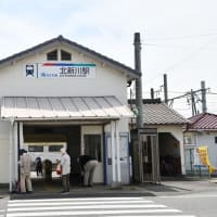 花しょうぶの彩りを楽しむ油ヶ渕の水辺と応仁寺-4