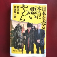 佐高信「佐藤優というタブー」