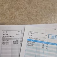 😺ワクチン抗体検査